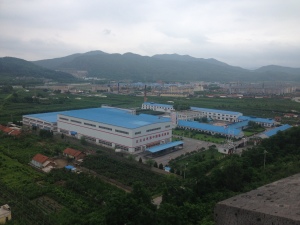 Vineyard