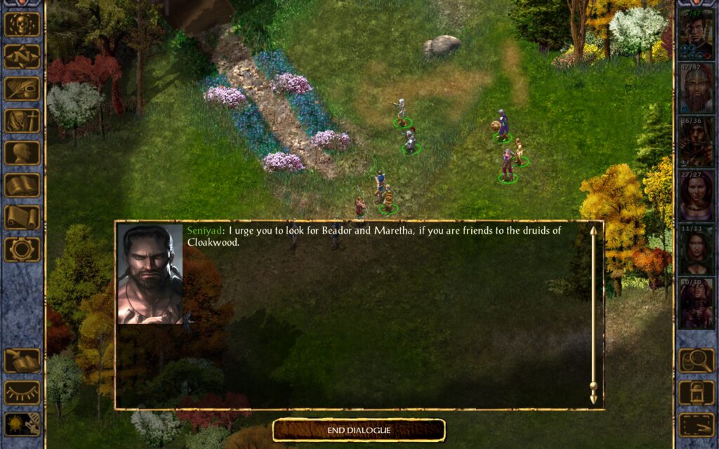 Seniyad: I urge you to look for Beador and Maretha, if you are friends to the druids of the Cloakwood.