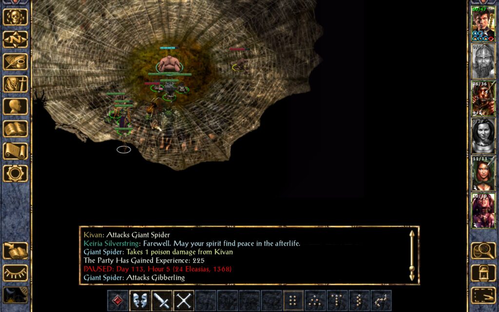 Dynaheir kills a spider with Magic Missiles.