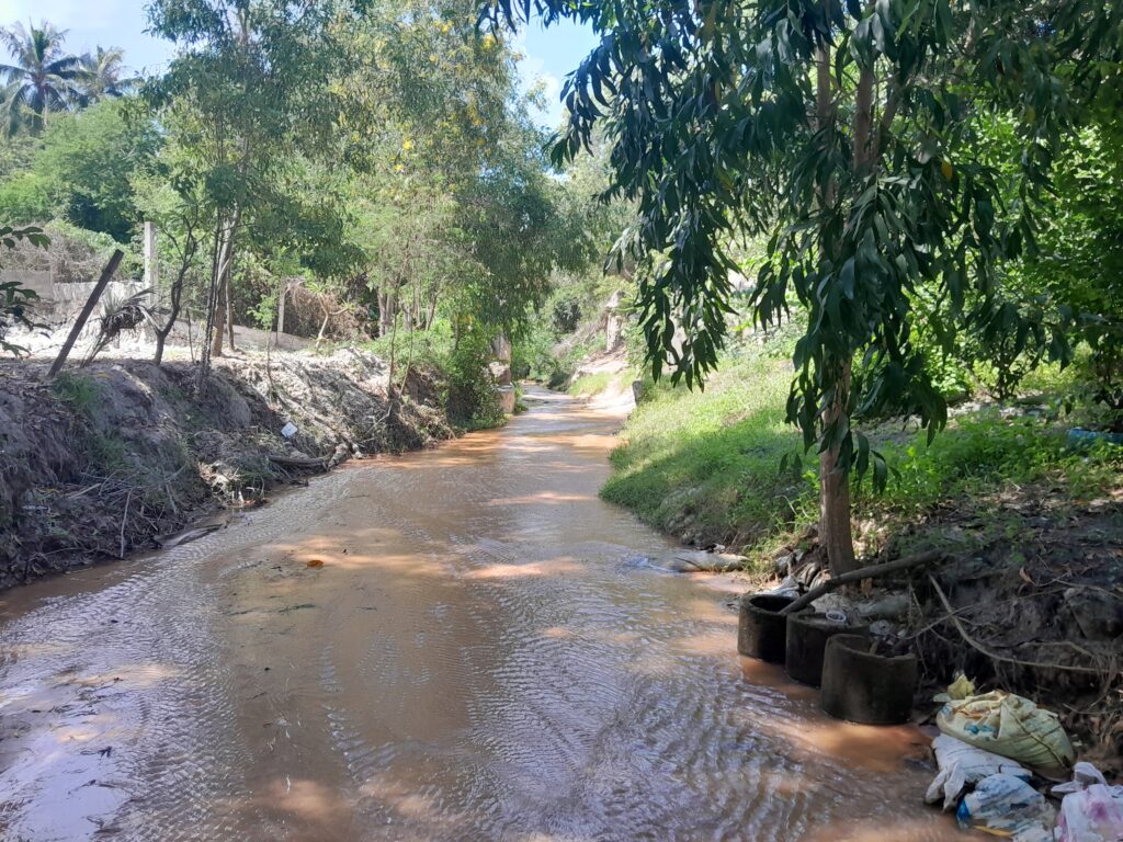 There were bins along the stream, discouraging people from littering.