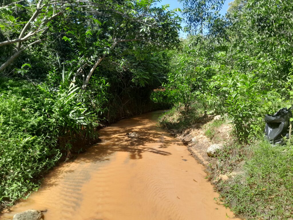 The lush green scenery contrasts with the orange hues in the stream.