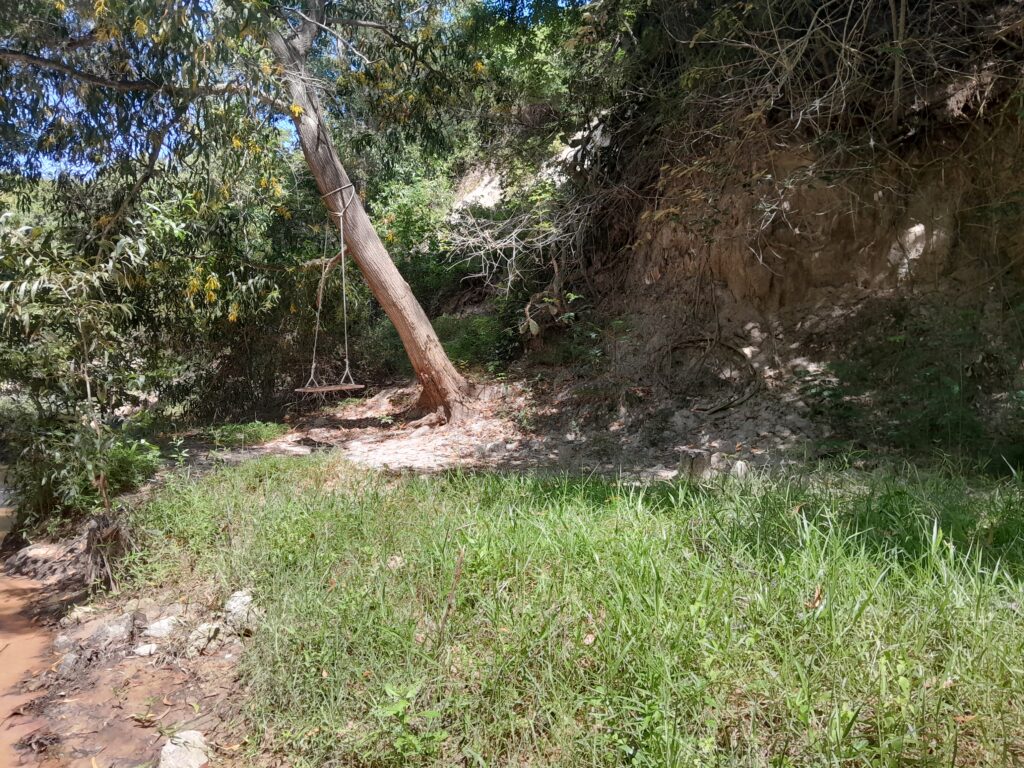A swing by the river, the perfect place to rest.
