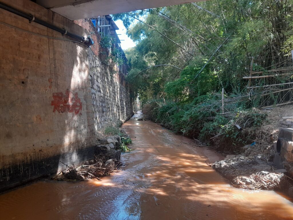 Walking under the main road.