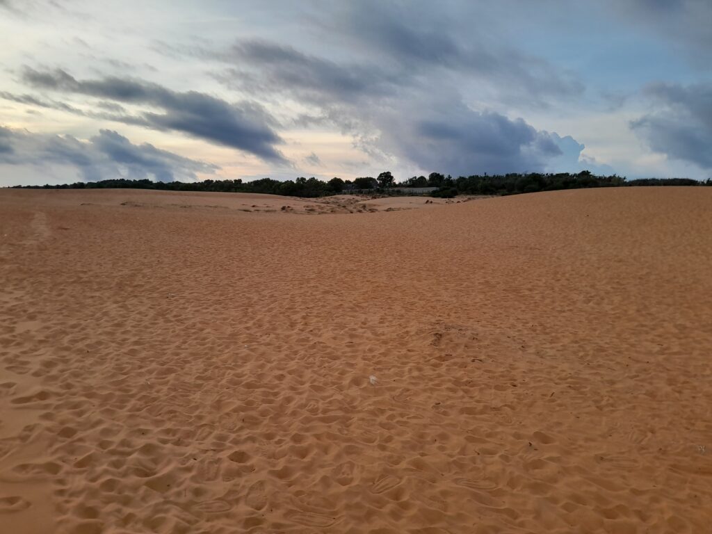 Approaching the treeline on the other side