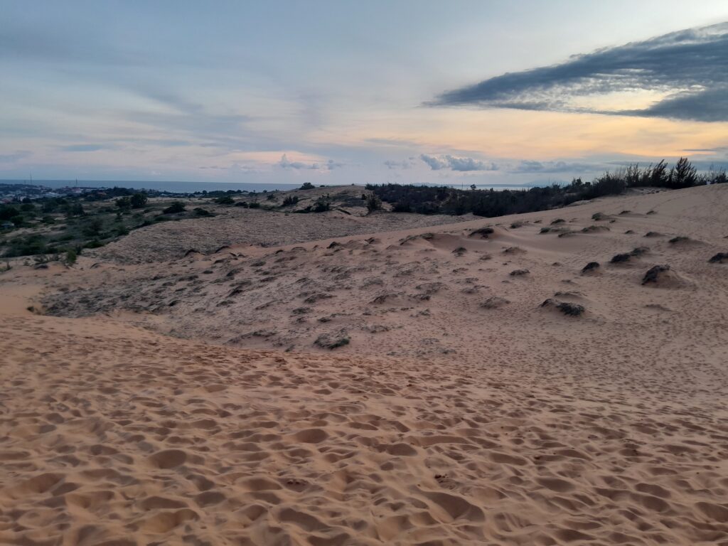 The desert is not dead