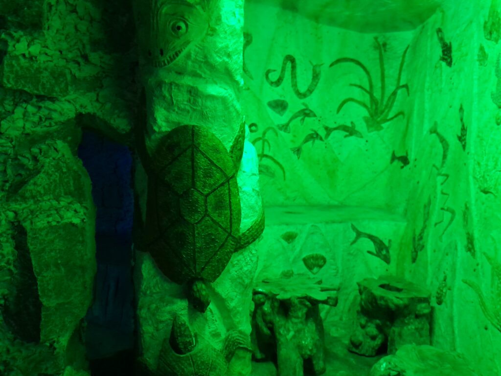 A tortoise travels through green light.