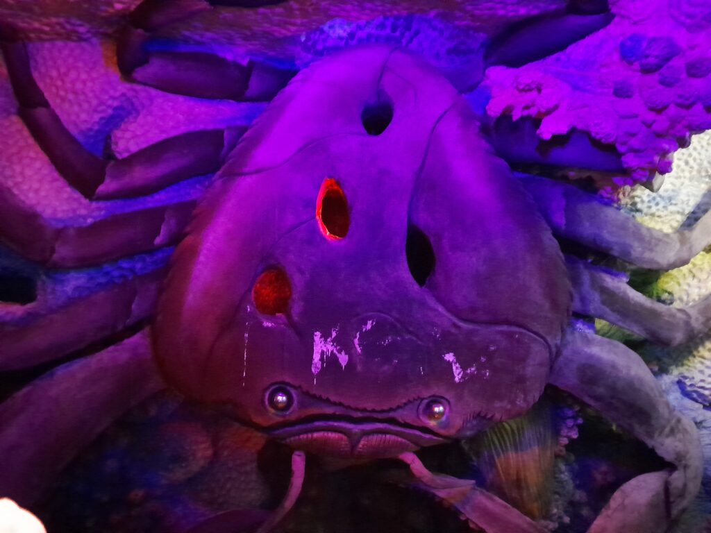 A crab hangs on the wall.