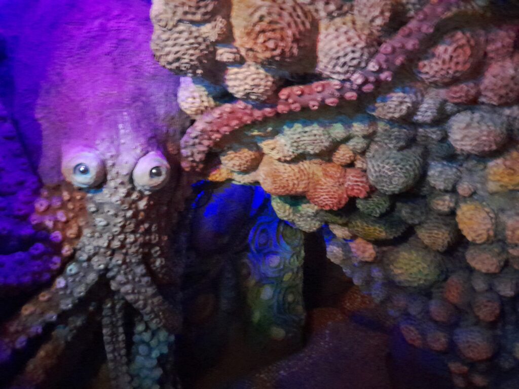 An octopus swims through coral.