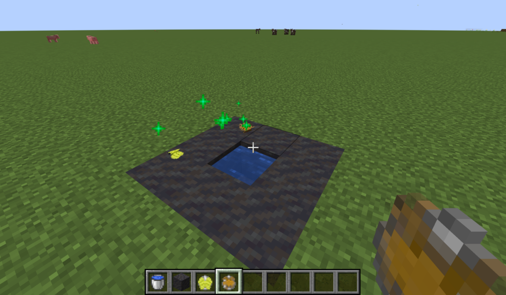 Butterflies mud puddling for nutrients.