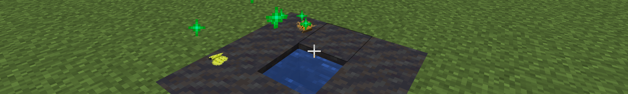 Some New Butterfly Variants