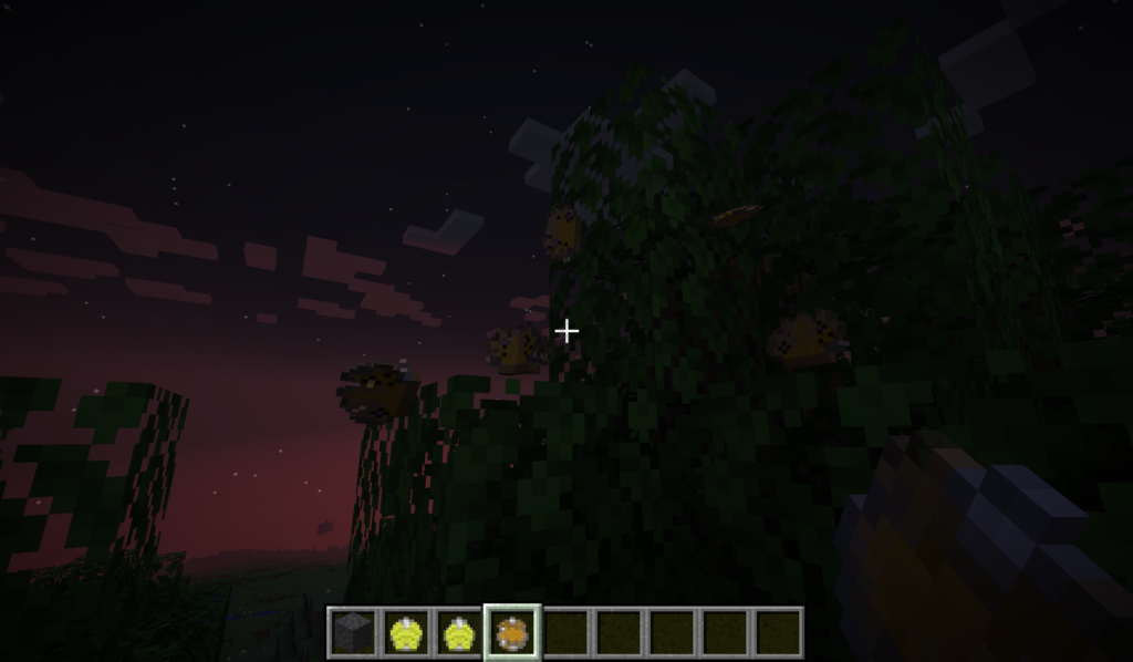 Peacock Pansies resting at night.