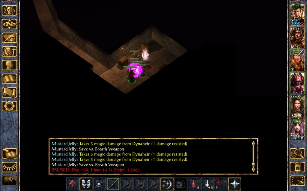 Dynaheir hits the mustard jelly with Melf's Fiery Missiles.