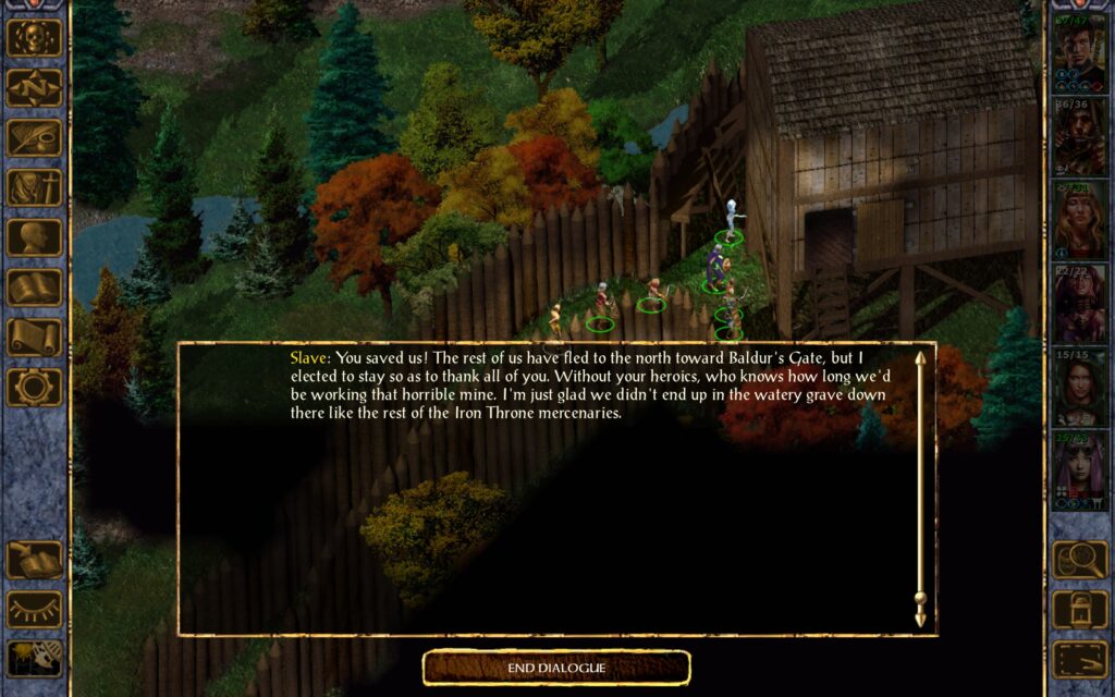 Slave: You saved us! The rest of us have fled to the north toward Baldur's Gate, but I elected to stay so as to thank all of you. Without your heroics, who knows how long we'd be working that horrible mine. I'm just glad we didn't end up in the watery grave down there like the rest of the Iron Throne mercenaries.