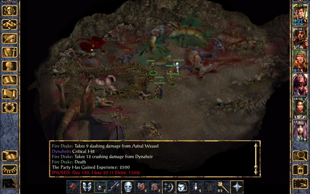 Dynaheir slays the fire drake.