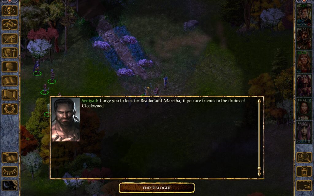 Seniyad: I urge you to look for Beador and Maretha, if you are friends to the druids of Cloakwood.