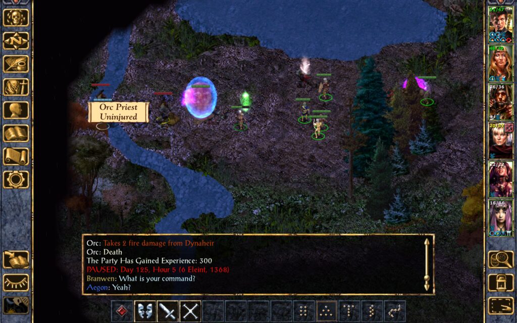 Dynaheir kills an orc with Melf's Fiery Missiles.